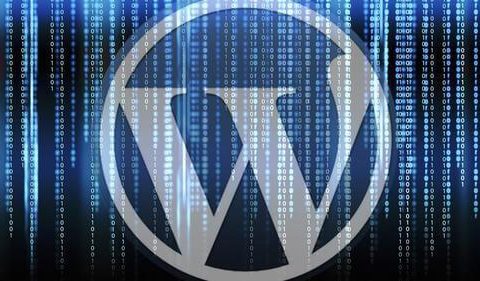 清朝云API系统——高效实现数据交互的免费API系统