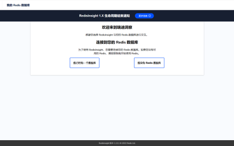 Docker 安装 Redis 和可视化工具 Redisinsight