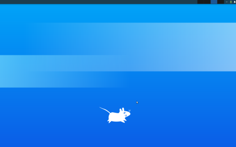 xrdp + xfce4 搭建 Linux 远程桌面