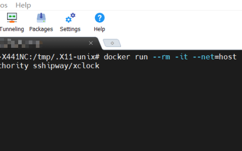 如何查看 Linux 机器是否能通过 Docker 运行 gui 界面