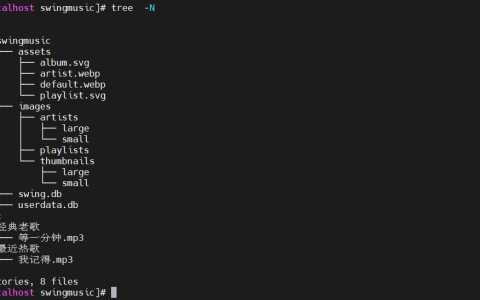 Docker 安装音乐播放器 swingmusic