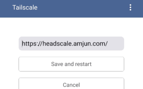 Docker 搭建 headscale 异地组网完整教程