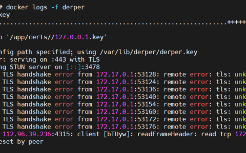 Docker 搭建中继服务器 derp – 纯 IP 实现