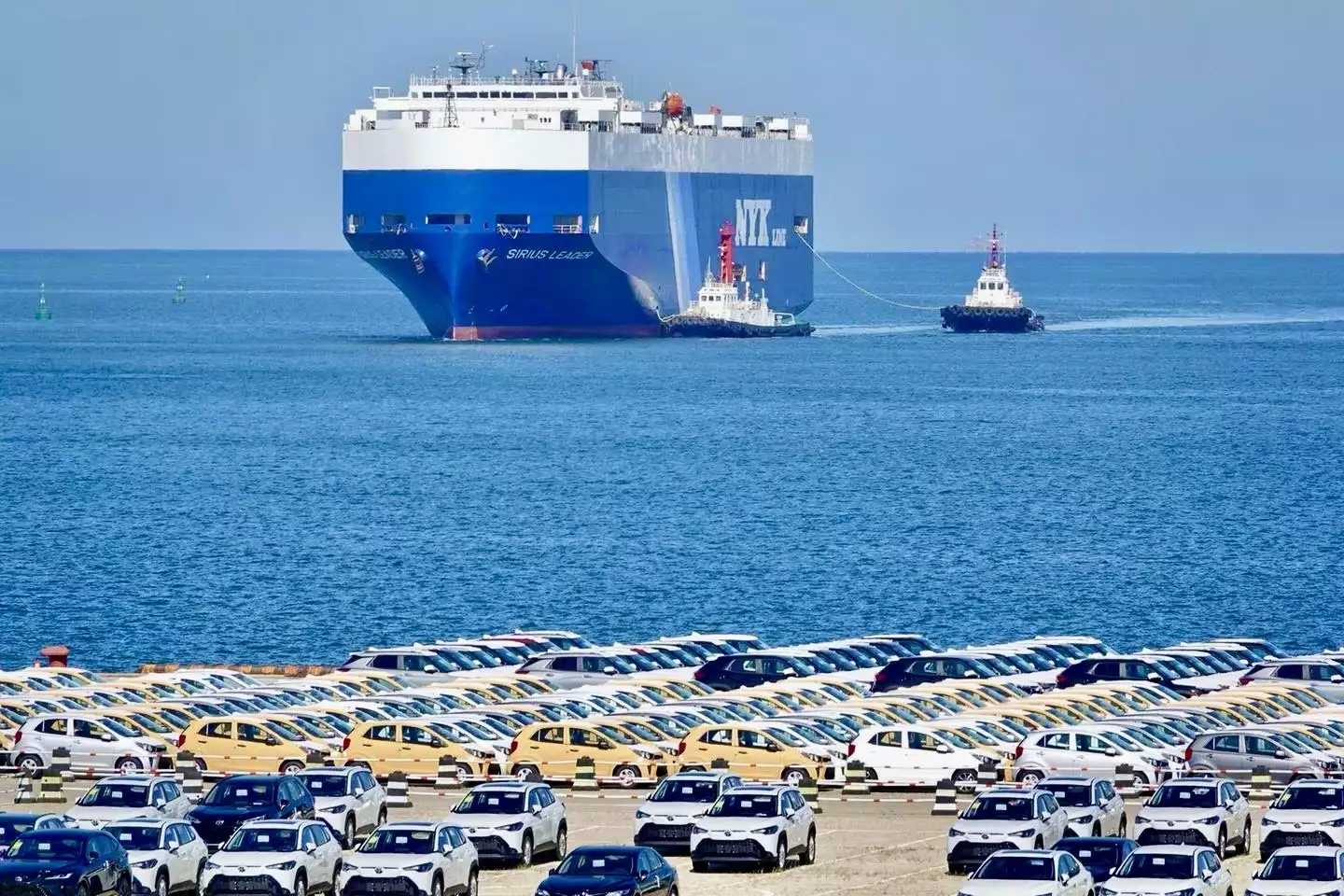 t0185c407aedb05a119.webp t0185c407aedb05a119.webp